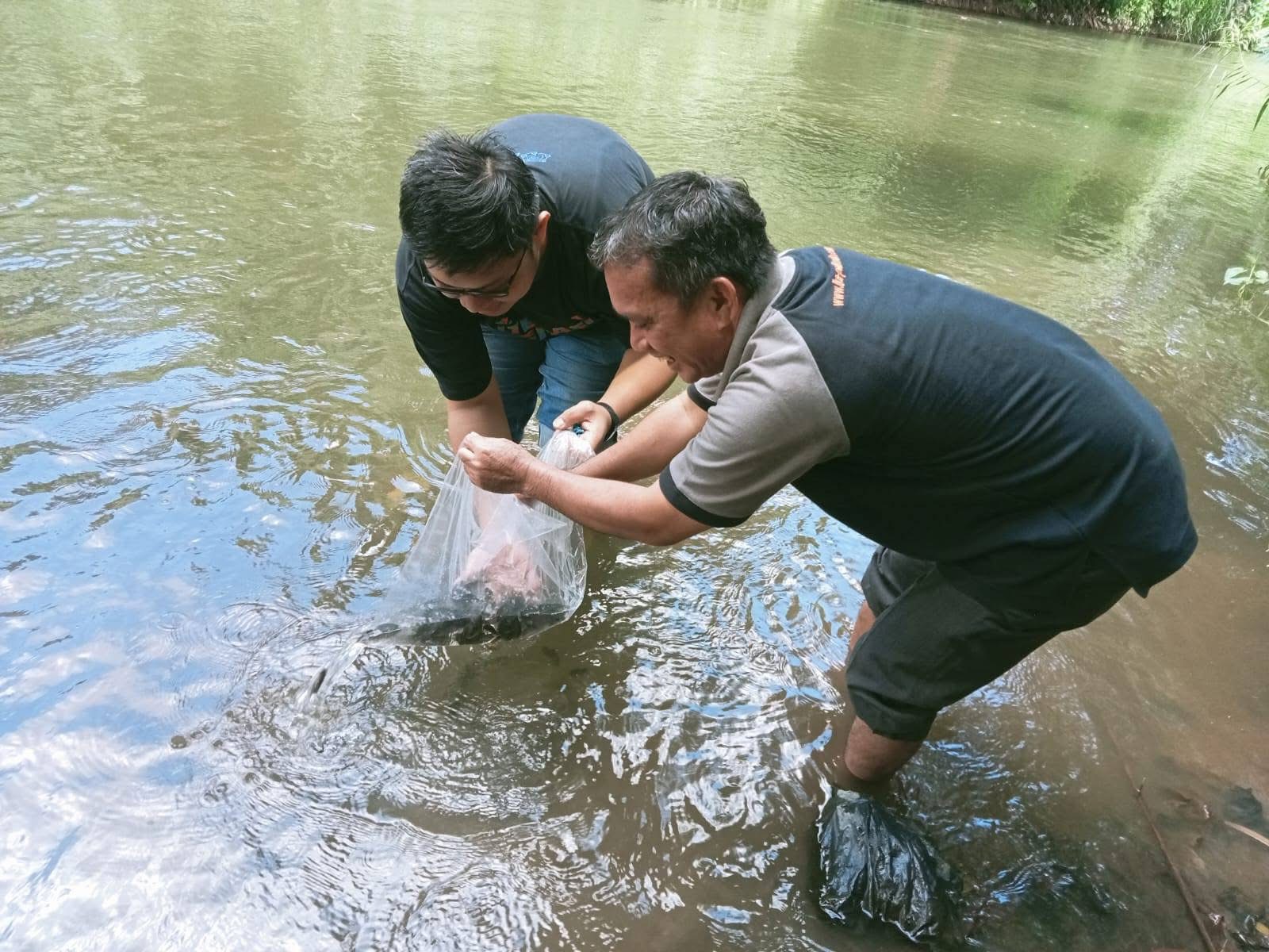 Ketua IKA Polimdo melepas benih ikan. 