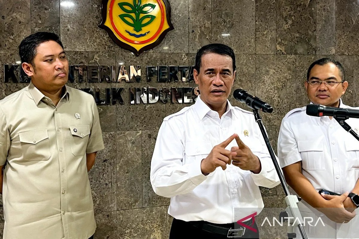 Bapanas: Stok Cadangan Beras Pemerintah Tembus 4,3 Juta Ton