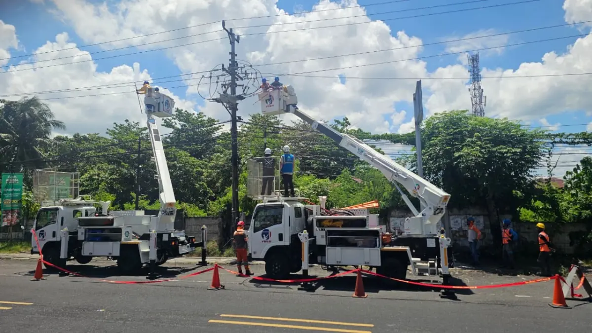 Petugas PLN memperbaiki gangguan listrik. (Dok PLN Suluttengo)