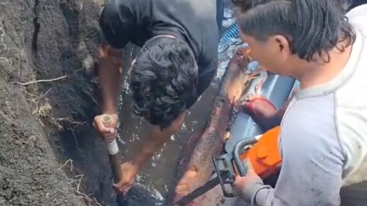 Tim teknis Perumda Air Minum Duasudara Bitung melakukan perbaikan pipa yang mengalami kebocoran akibat akar pohon mahoni di Manembo-nembo.(Dok Istimewa)