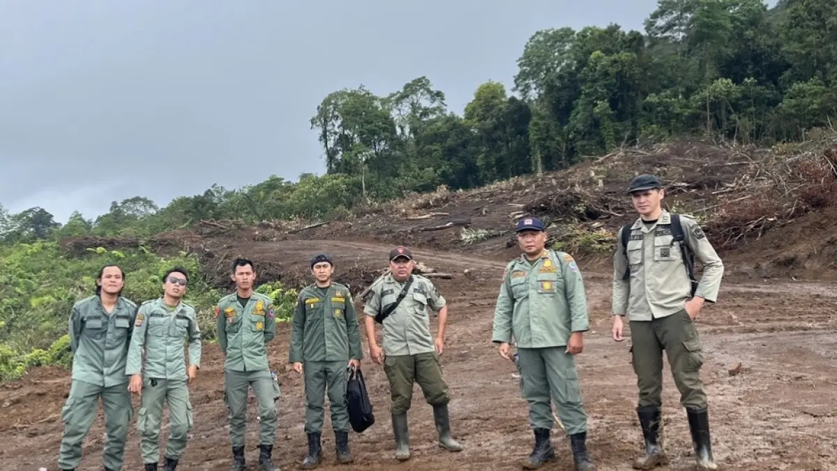 Petugas kehutanan saat turun langsung di lokasi.