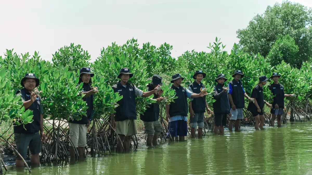 Penanaman 500 pohon mangrove di kawasan pesisir Muara Gembong, Kabupaten Bekasi, Provinsi Jawa Barat.