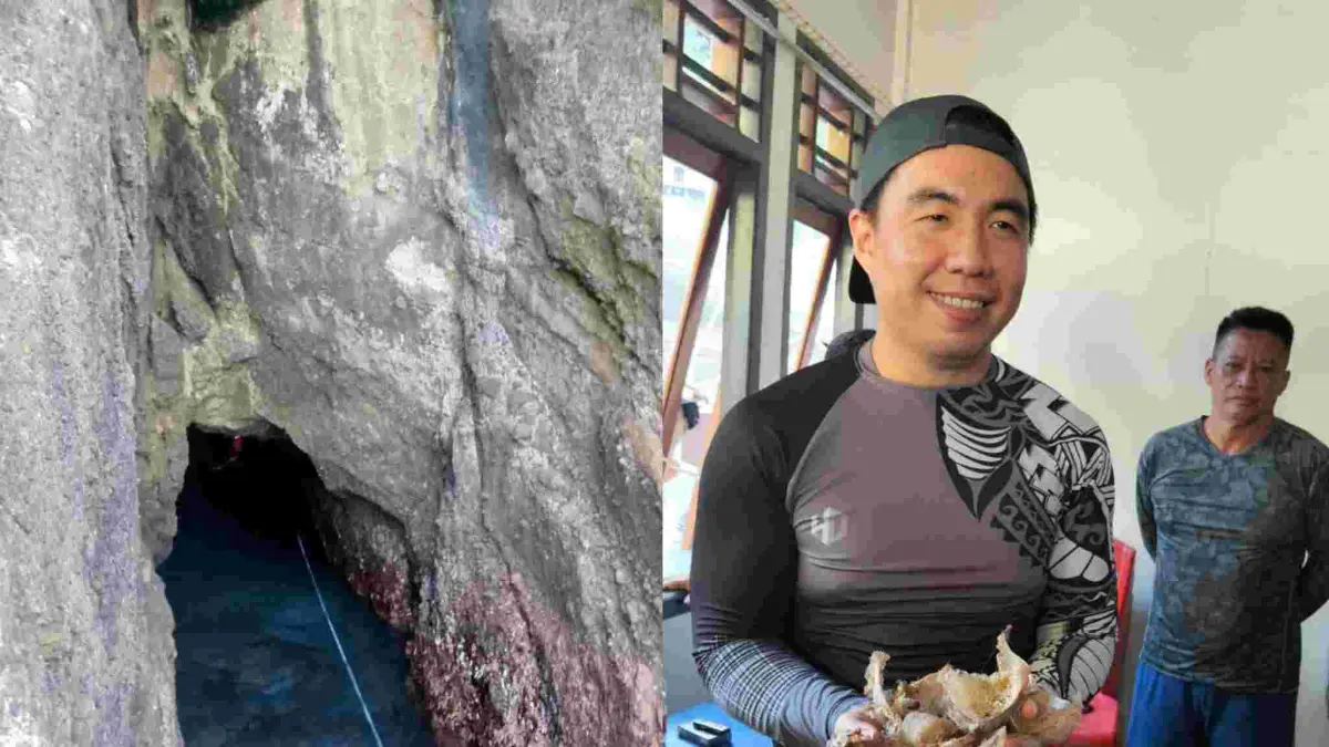 Nampak Bupati Michael Thungari memegang sarang burung walet hasil panen Kampung Kalama, Tatoareng, Sangihe, (Kamis (30/04/26).