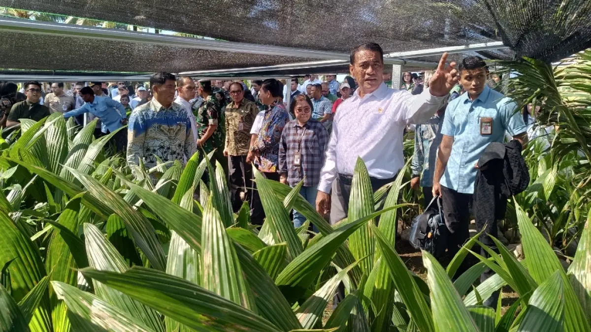 Mentan Andi Amran Sulaiman saat melakukan sidak di Sulawesi Utara