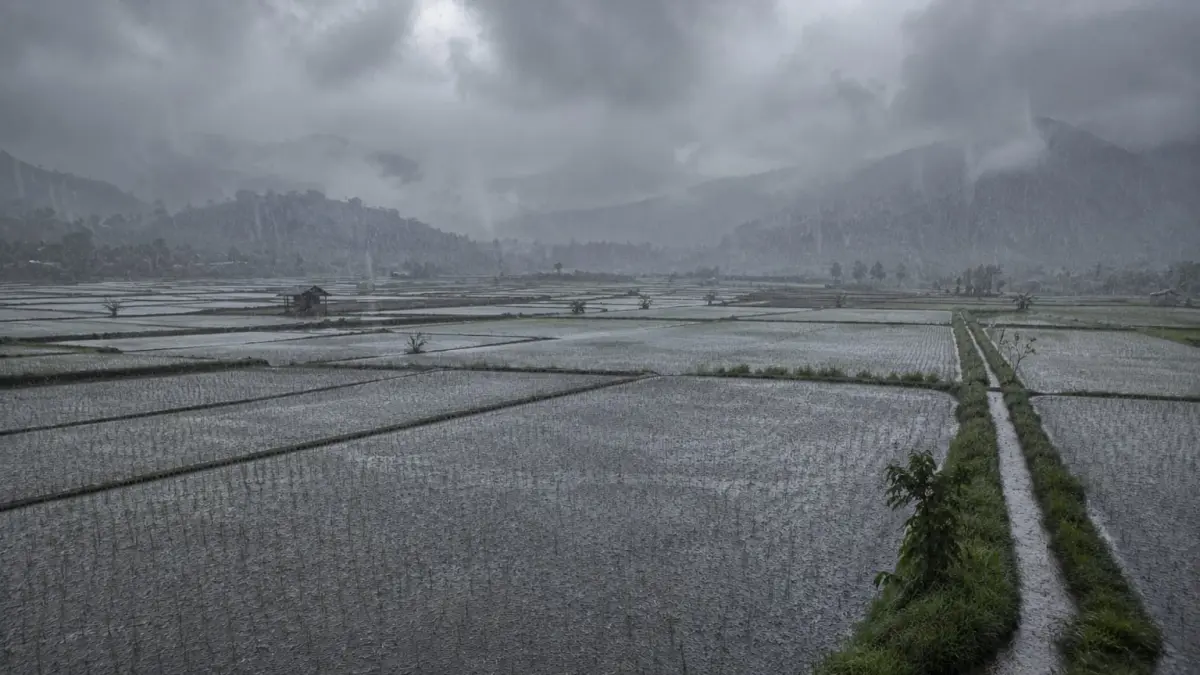 Lahan persawahan di Indonesia. (Dok Kementan)