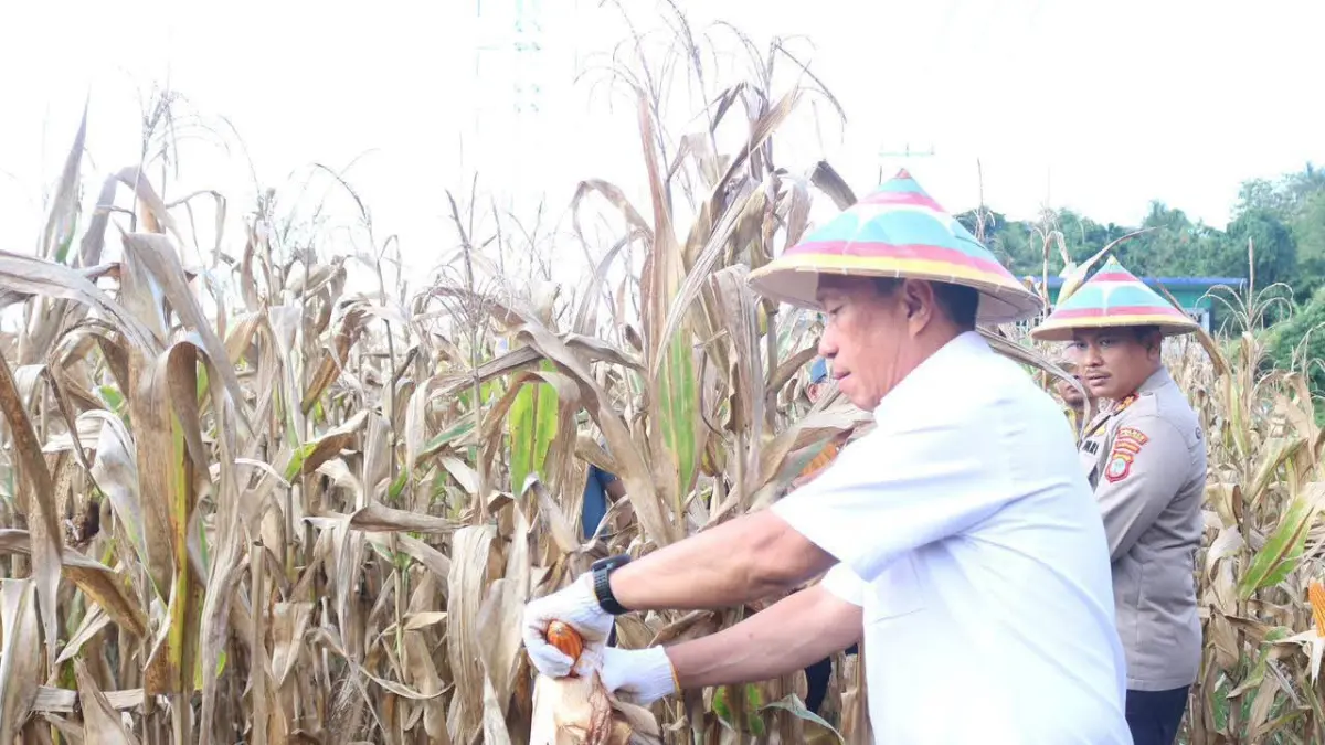RESMI: Bupati Minsel, Franky Donny Wongkar (FDW), menghadiri secara virtual kegiatan Panen Raya Jagung Serentak Kuartal II, Groundbreaking 10 Gudang Ketahanan Pangan Polri, serta Launching Operasional 166 Sentra Pelayanan Pertanian Gabungan (SPPG) Polri, Sabtu (16/5).