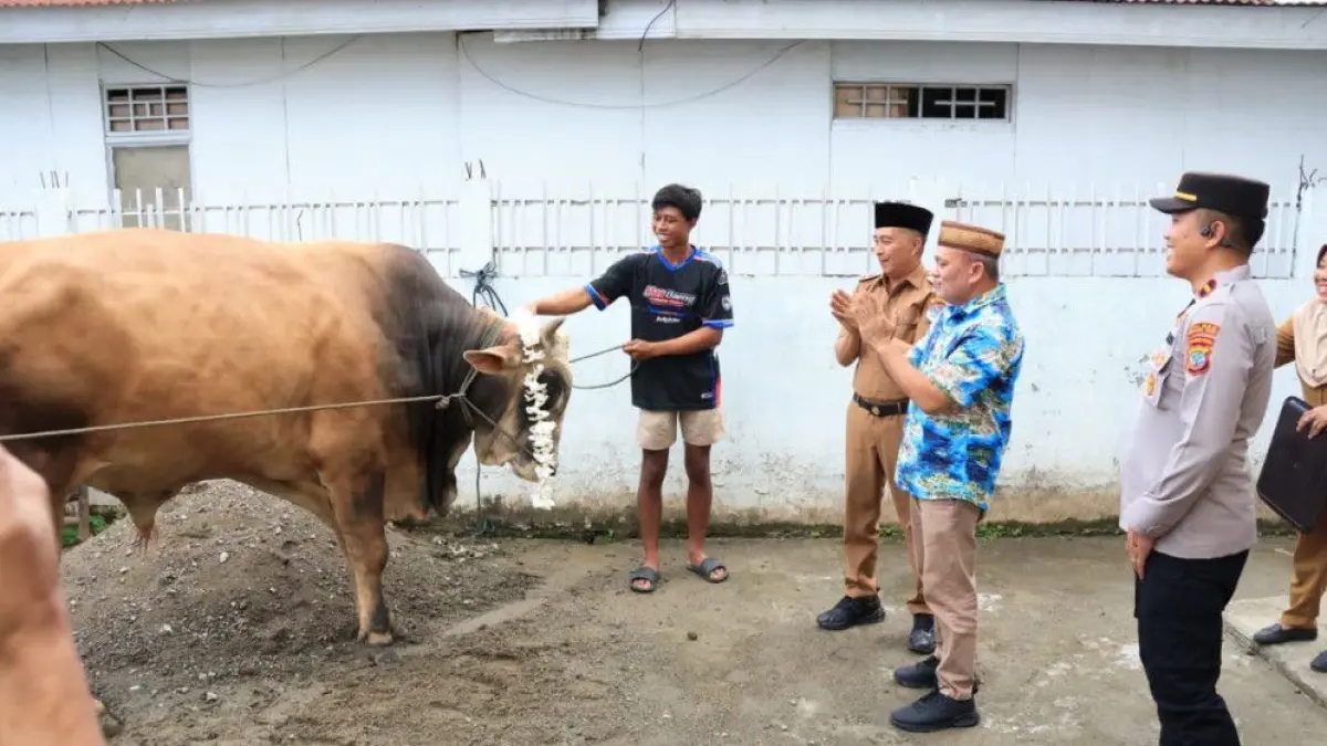Pemkab Boltim serahkan bantuan sapi kurban dari Presiden RI