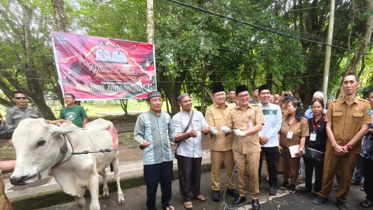 Serahkan Bantuan-Bupati Minahasa Utara didampingi Wakil Bupati Kevin Lotulung saat menyerahkan hewan kurban secara simbolis.