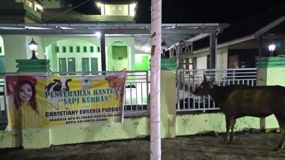 KOMPAK: Bantuan hewan kurban dari Dr (HC) Christiany Eugenia Paruntu S.E S.Th MA dibagikan untuk masyarakat di Sulut