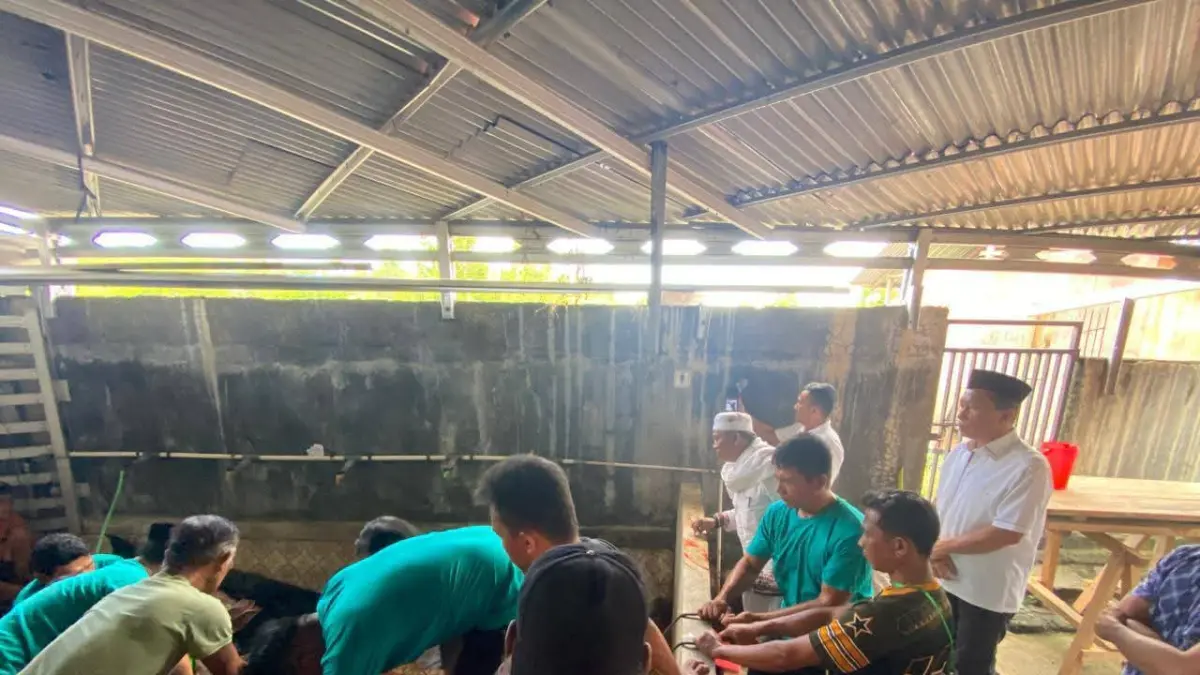 MANTAP: Penyerahan Bantuan sapi kurban kepresidenan yang diserahkan langsung oleh Bupati Minsel, Franky Donny Wongkar (FDW), kepada pengurus dan keimaman Masjid At-Taqwa, Desa Kapitu, Kecamatan Amurang Barat, Rabu (27/5) kemarin.
