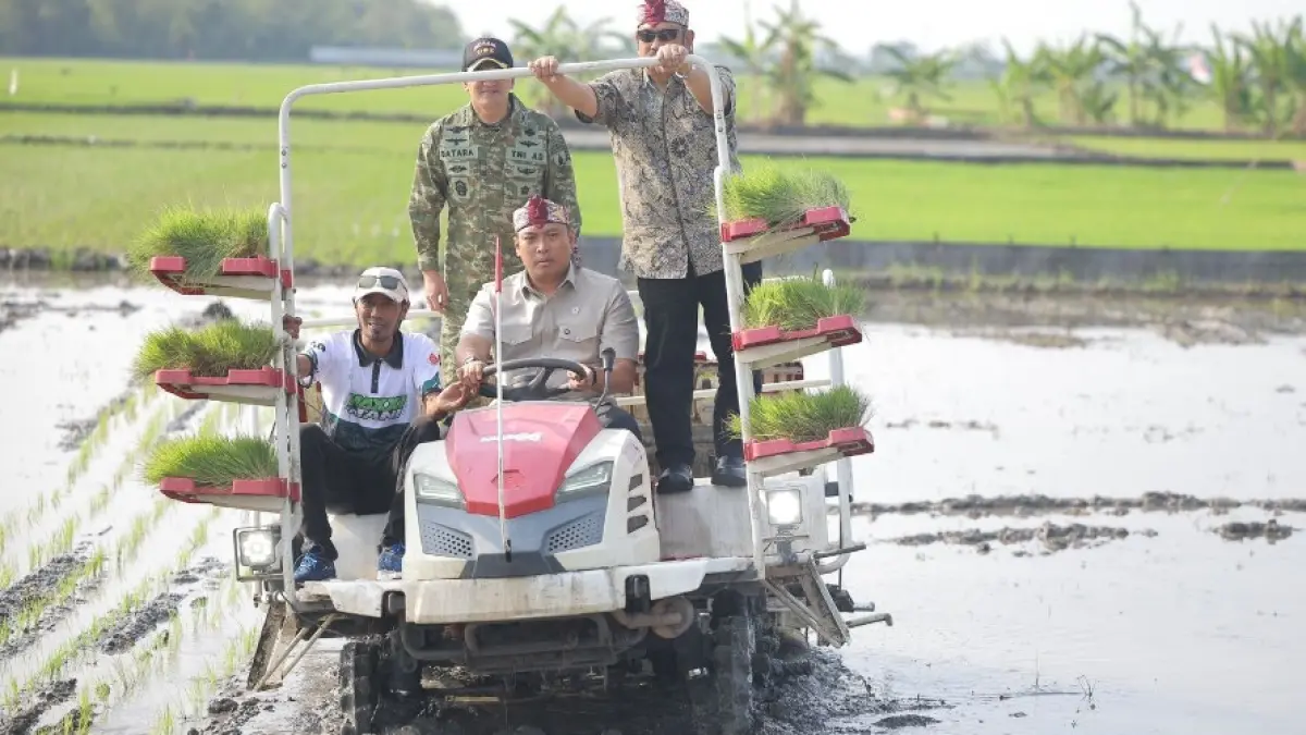 Wakil Menteri Pertanian (Wamentan) Sudaryono mengakselerasi Gerakan Tanam (Gertam) padi
