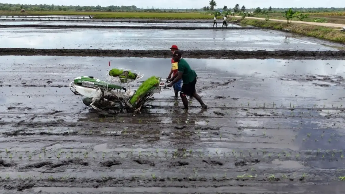 Pengembangan lahan pertanian telah dilakukan di sedikitnya 14 provinsi.