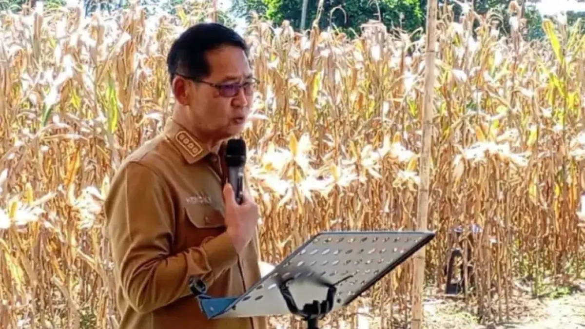 Wali Kota Bitung Hengky Honandar membawakan sambutan dalam kegiatan panen raya jagung di perkebunan Kelurahan Tanjung Merah.(Dok Istimewa)