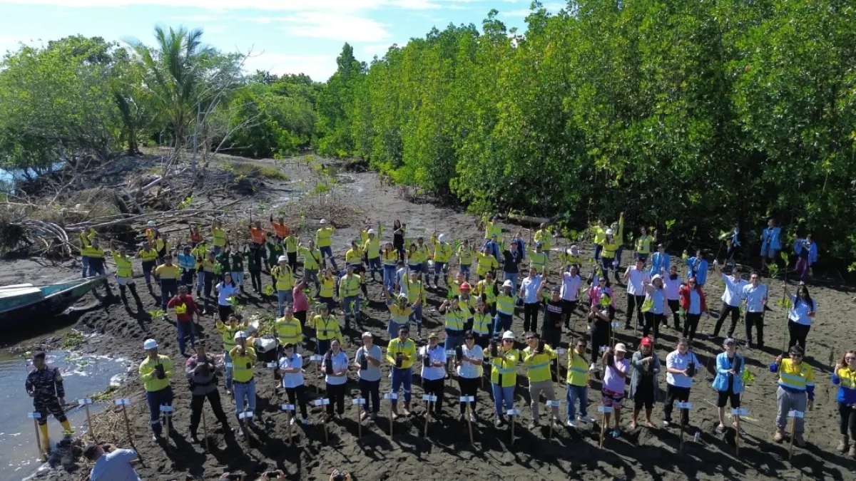 PT Meares Soputan Mining (MSM) dan PT Tambang Tondano Nusajaya (TTN) menanam 1.000 bibit mangrove di Pantai Bolang, Kampung Ambong, Kecamatan Likupang Timur.
