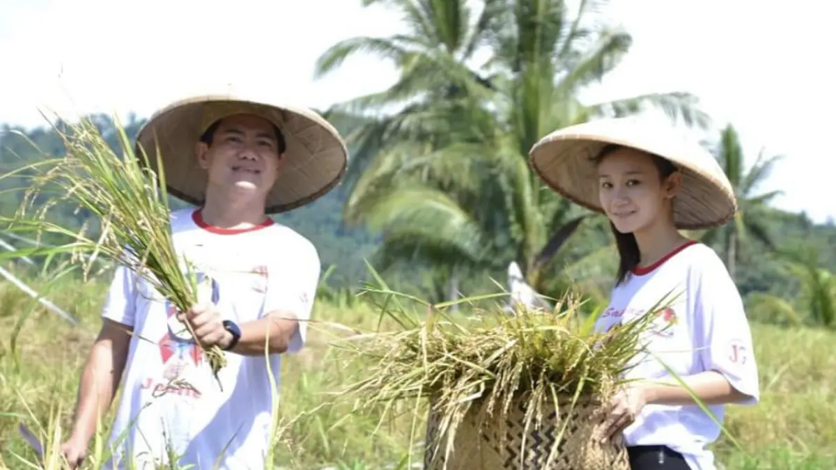 KOMITMEN JELAS: Bupati Minut Joune Ganda bersama Ketua TP PKK Minut Rizya Ganda Davega saat melakukan panen jagung bersama.