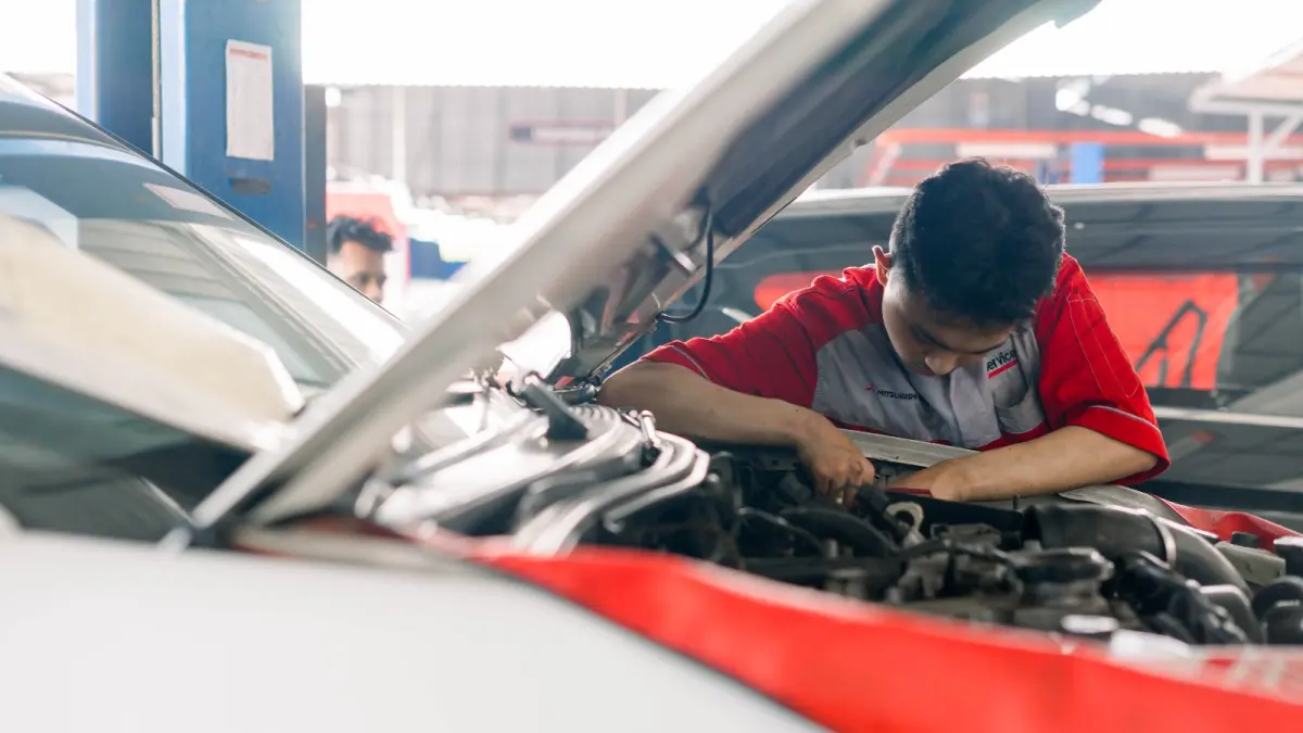 Fasilitas Bodi & Cat di Pekalongan, Jawa Tengah