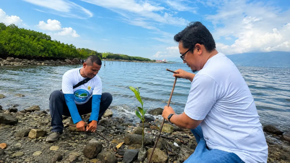 Manager PLN UPT Palu, Yudha Verdiansyah, memimpin kegiatan penanaman mangrove di kawasan Pantai Mamboro, Teluk Palu, dalam rangka peringatan Hari Lingkungan Hidup Sedunia 2026. Kegiatan ini menjadi bagian dari aksi nyata PLN melalui penanaman 500 tanaman mangrove untuk menjaga ekosistem pesisir, mencegah abrasi, serta mendukung semangat “Saatnya Bekerja untuk Iklim.”