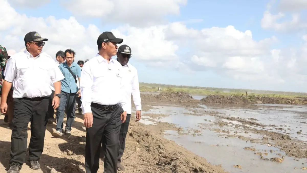 Papua kini menjadi salah satu kawasan prioritas pengembangan pangan nasional.