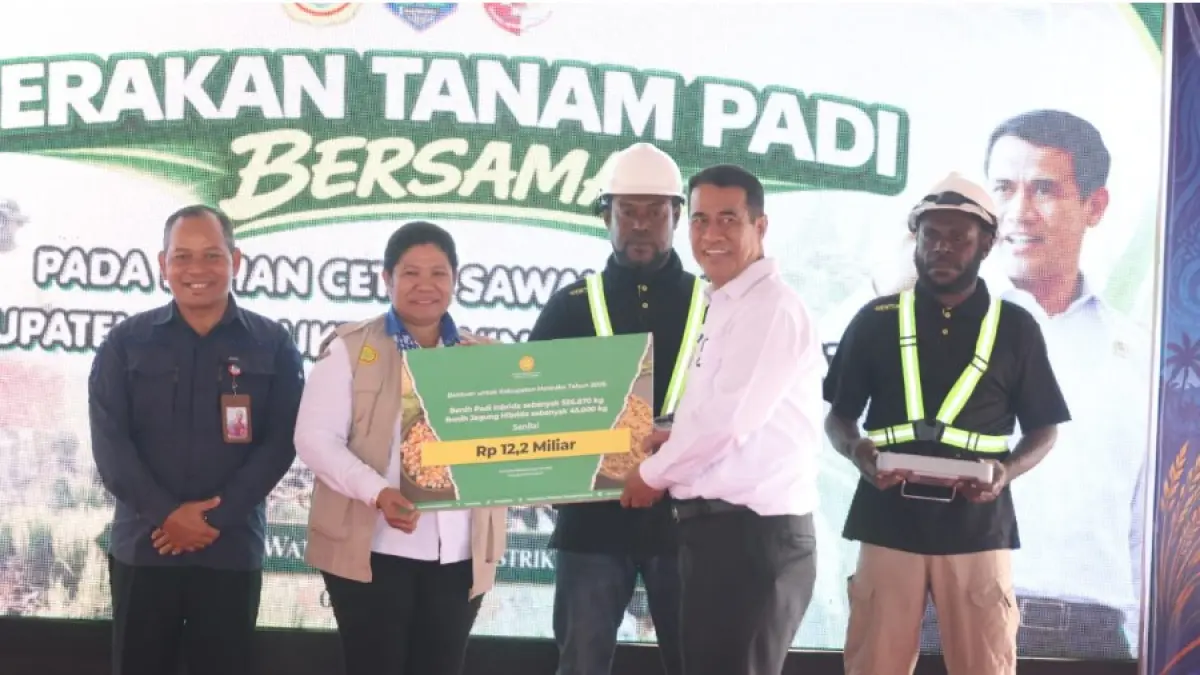 Bantuan sektor pertanian senilai Rp1,33 triliun untuk Provinsi Papua Selatan.