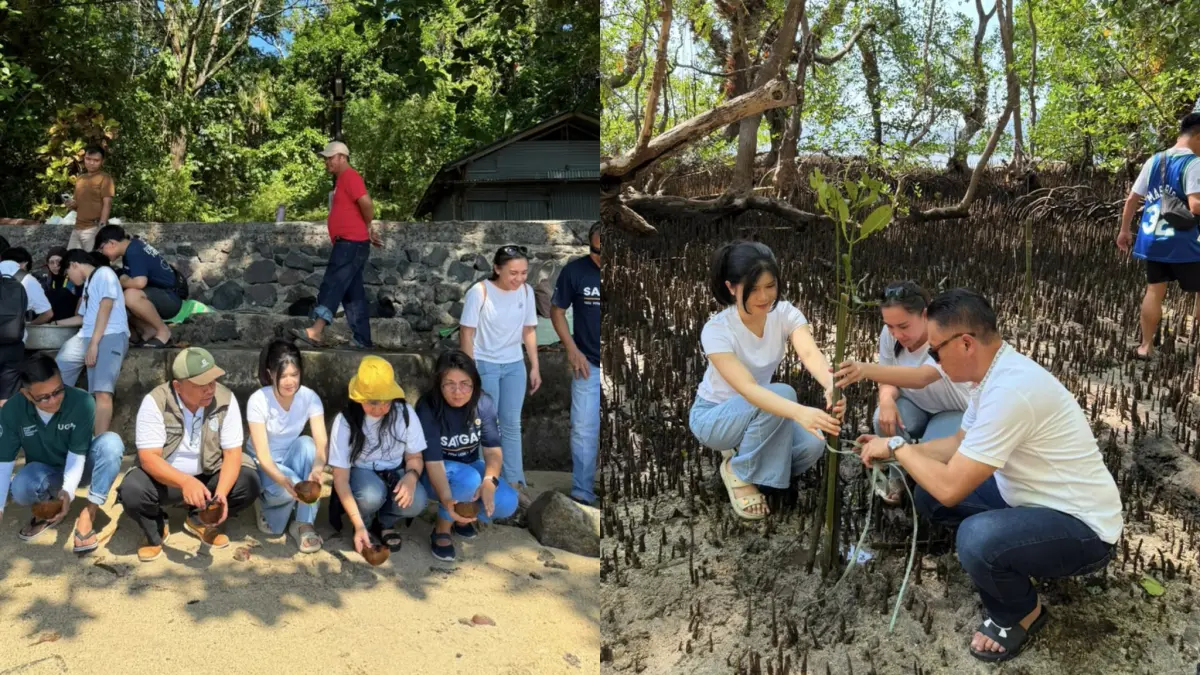 Kegiatan Tanam Mangrove dan Lepas Tukik di Pulau Bunaken, Sabtu (25/7)
