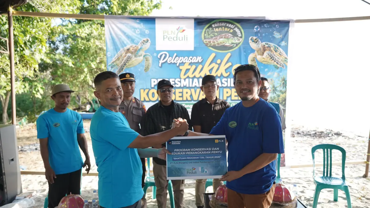 PLN Serahkan Bantuan Konservasi dan Edukasi Penangkaran Penyu di Pantai Lentora