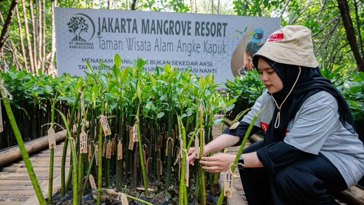 Penanaman mangrove dalam rangkaian aksi keberlanjutan Prudential Indonesia bersama CarbonEthics.