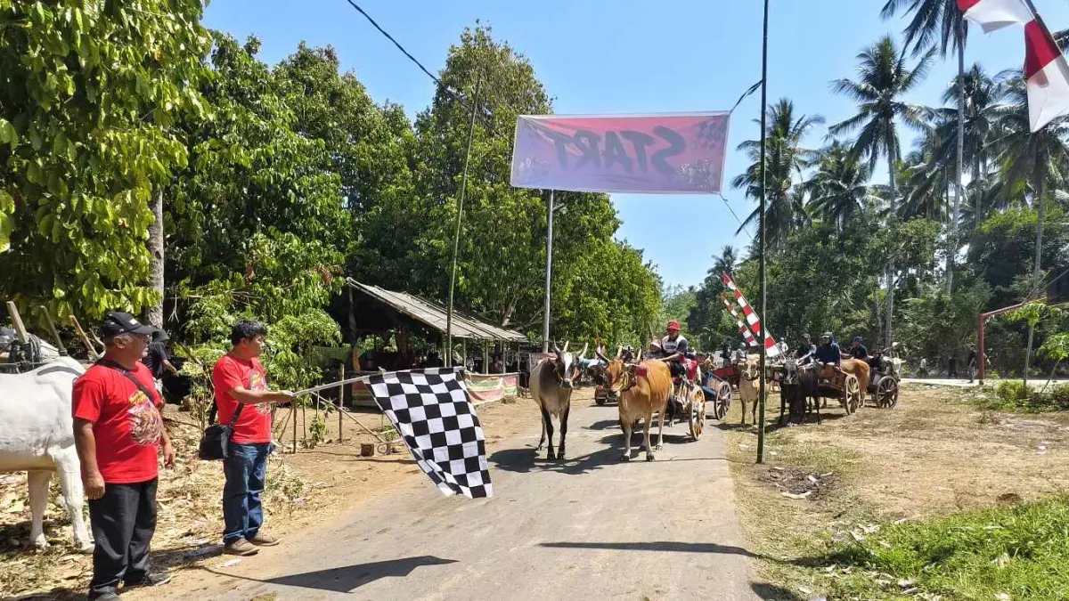 Ketua Panitia Markus Karamoy Umboh saat melepas peserta roda sapi