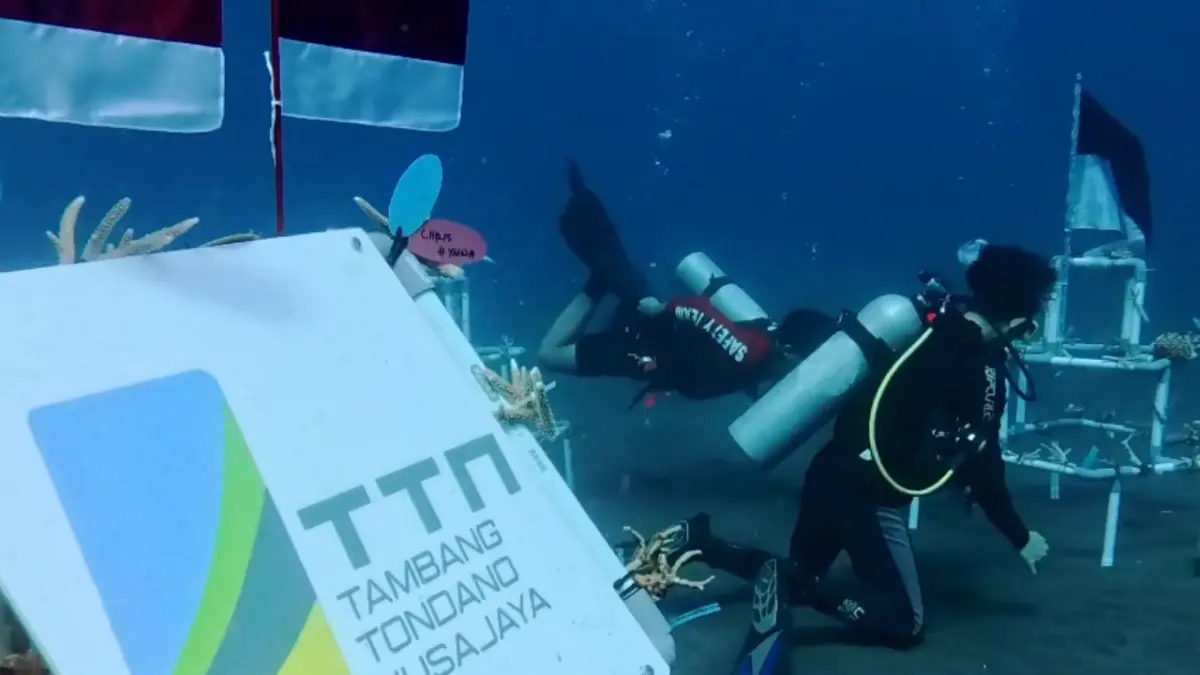 Penanaman terumnbu karang sebagai wujud kepedulian terhadap keberlanjutan ekosistem laut oleh PT MSM-TNT