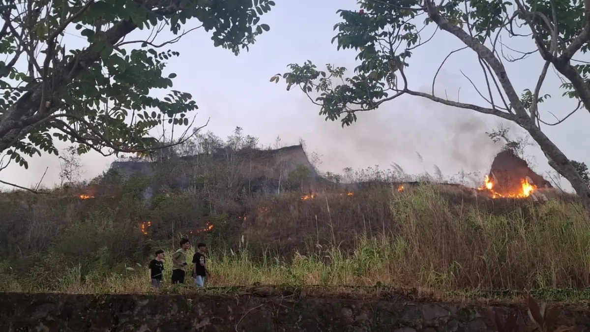 Terlihat kobaran api di bukit sekitar kantor DPRD Sulut.