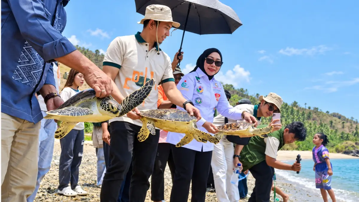 PLN UIP3B Sulawesi Perkuat Konservasi Penyu dan UMK Berbasis Elektrifikasi di Desa Dunu