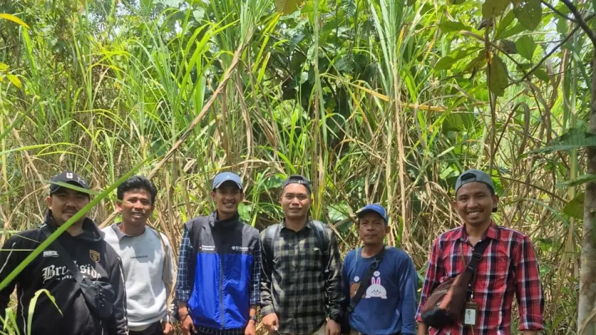 SINERGI LAPANGAN: Petugas dari PLN UPP Sulawesi Selatan bersama Kasubid dari BPKAD Morowali Utara, didampingi staf terkait, perwakilan Dinas Peternakan, serta Pemerintah Desa Korompeeli saat melakukan pendataan dan inventarisasi lahan di lokasi rencana tapak tower SUTET 275 kV Wotu–Bungku di Desa Korompeeli, Kecamatan Lembo, Kabupaten Morowali Utara.