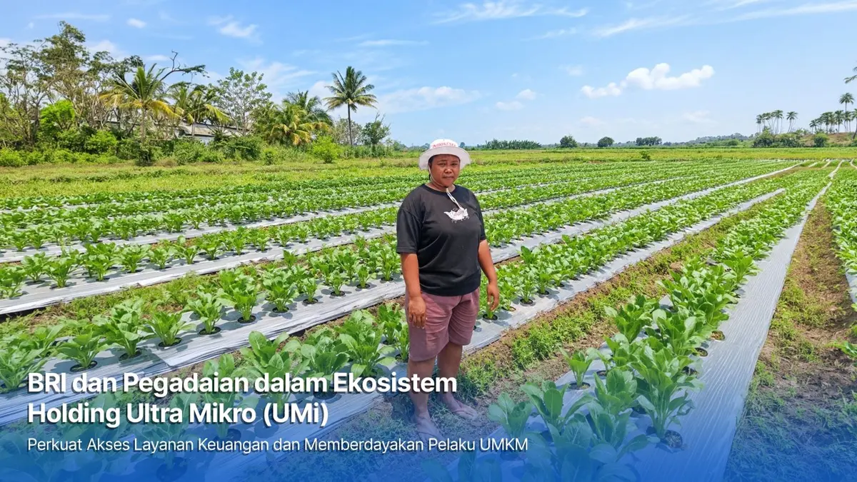Petani Merauke Naik Kelas, Mur Dwi Astuti Perluas Lahan Garapan Berkat Dukungan KUR Mikro BRI
