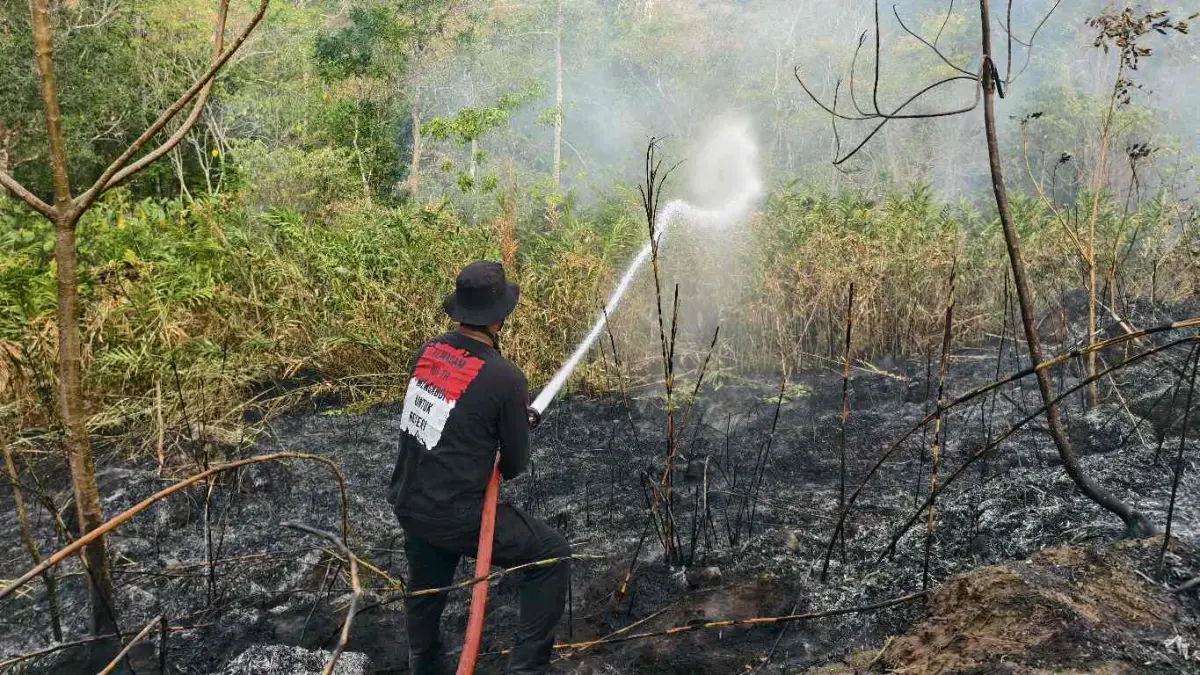 Berjibaku-Terlihat Personil Pemadam Kebakaran saat berusaha memadamkan Api.