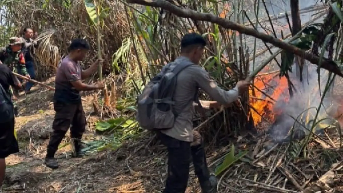 Polda Sulut Catat 370 Kejadian Karhutla, Ribuan Hektare Lahan Terdampak