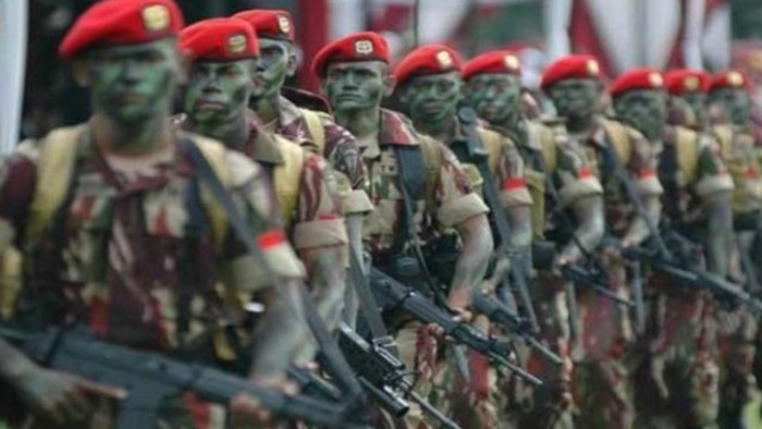 Ilustrasi militer Indonesia (Jawa Pos)
