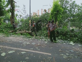 Petugas gabungan mengangkat batang pohon tumbang yang dibersihkan sembari mengurai kemacetan yang ditimbulkan.