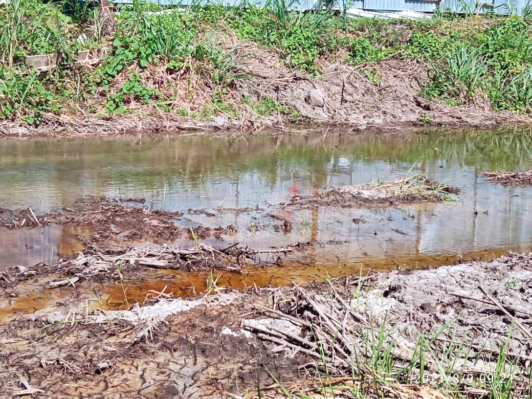 Dugaan pencemaran lingkungan oleh PT Indo World. (Istimewa)