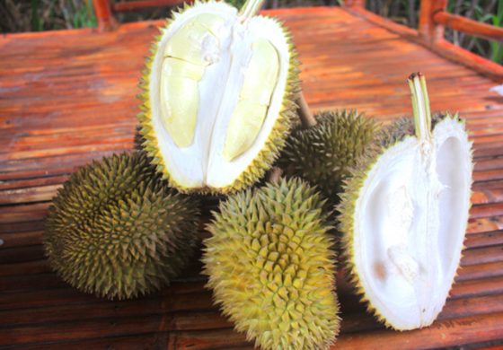 Ilustrasi durian (jawapos)