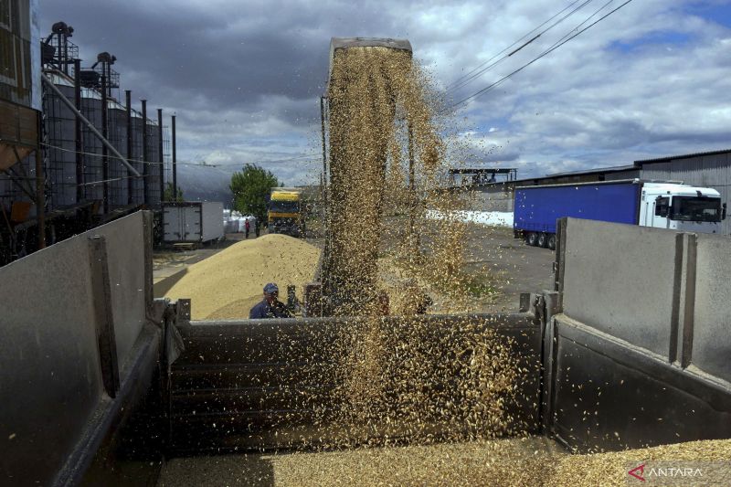 Seorang pekerja memuat truk dengan gandum di terminal selama panen jelai di wilayah Odesa, saat serangan Rusia di Ukraina berlanjut, Ukraina 23 Juni 2022. ANTARA FOTO/REUTERS/Igor Tkachenko/wsj