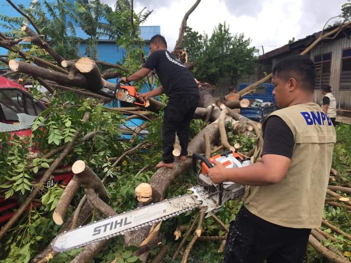 BPBD Kota Bitung mengevakuasi salah satu pohon tumbang yang menimpa kendaraan warga. (Dok BPBD Kota Bitung)