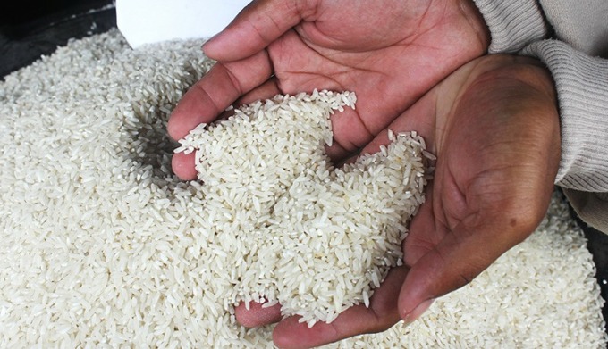 Ilustrasi beras (Istimewa)