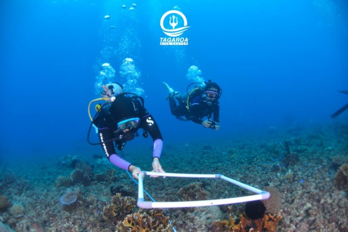 Peneliti ikan dan karang dari Tim Peneliti Pusat dan Oseanografi Badan Riset dan Inovasi Nasional (BRIN) datang di Kawasan Pantai Lakban dan Teluk Buyat, belum lama ini.