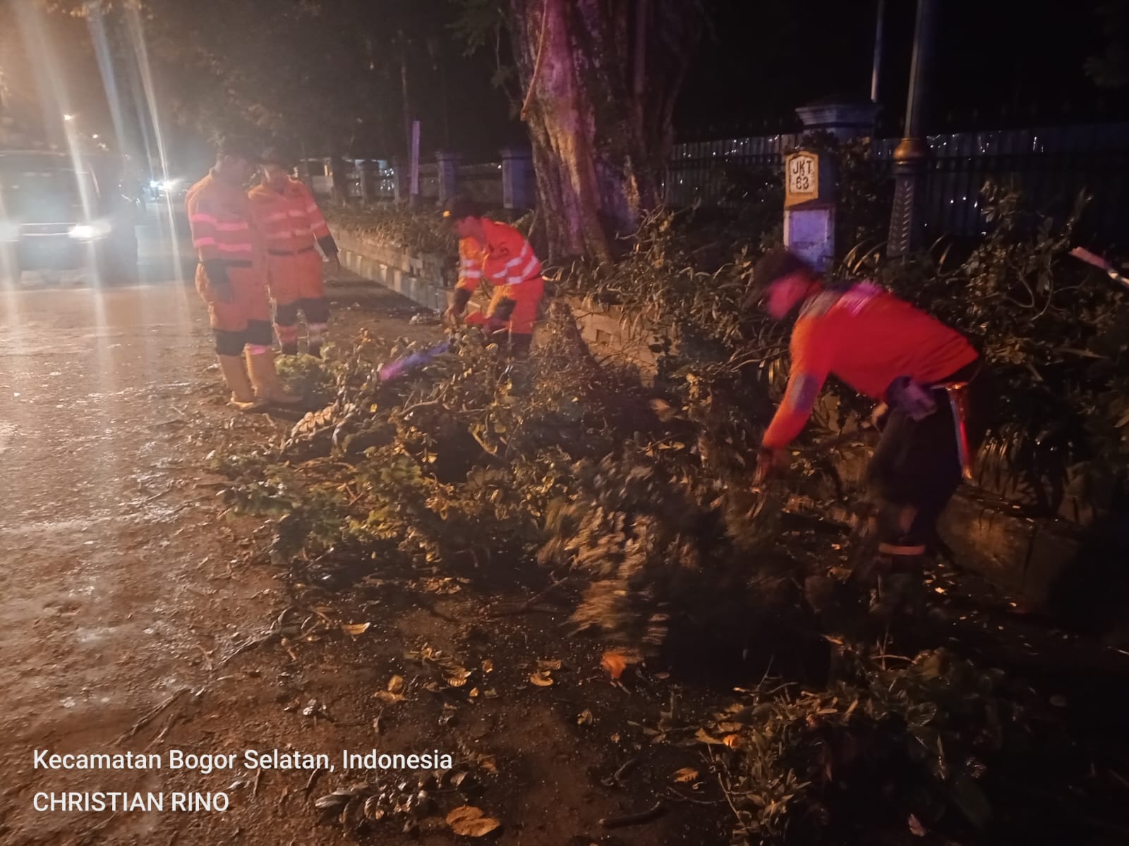 Salah satu pohon tumbang di Kota Bogor.