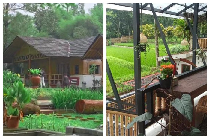 Bamboo Sanctuary, yang berlokasi di Jalan Veteran 1 No. 19, RT.03/RW.06, Desa Pancawati, Kecamatan Caringin, Kabupaten Bogor, Jawa Barat.