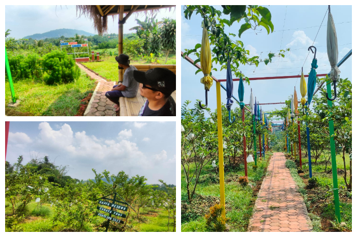 Desa Wisata Benteng, Kecamatan Ciampea, Kabupaten Bogor, Jawa Barat.