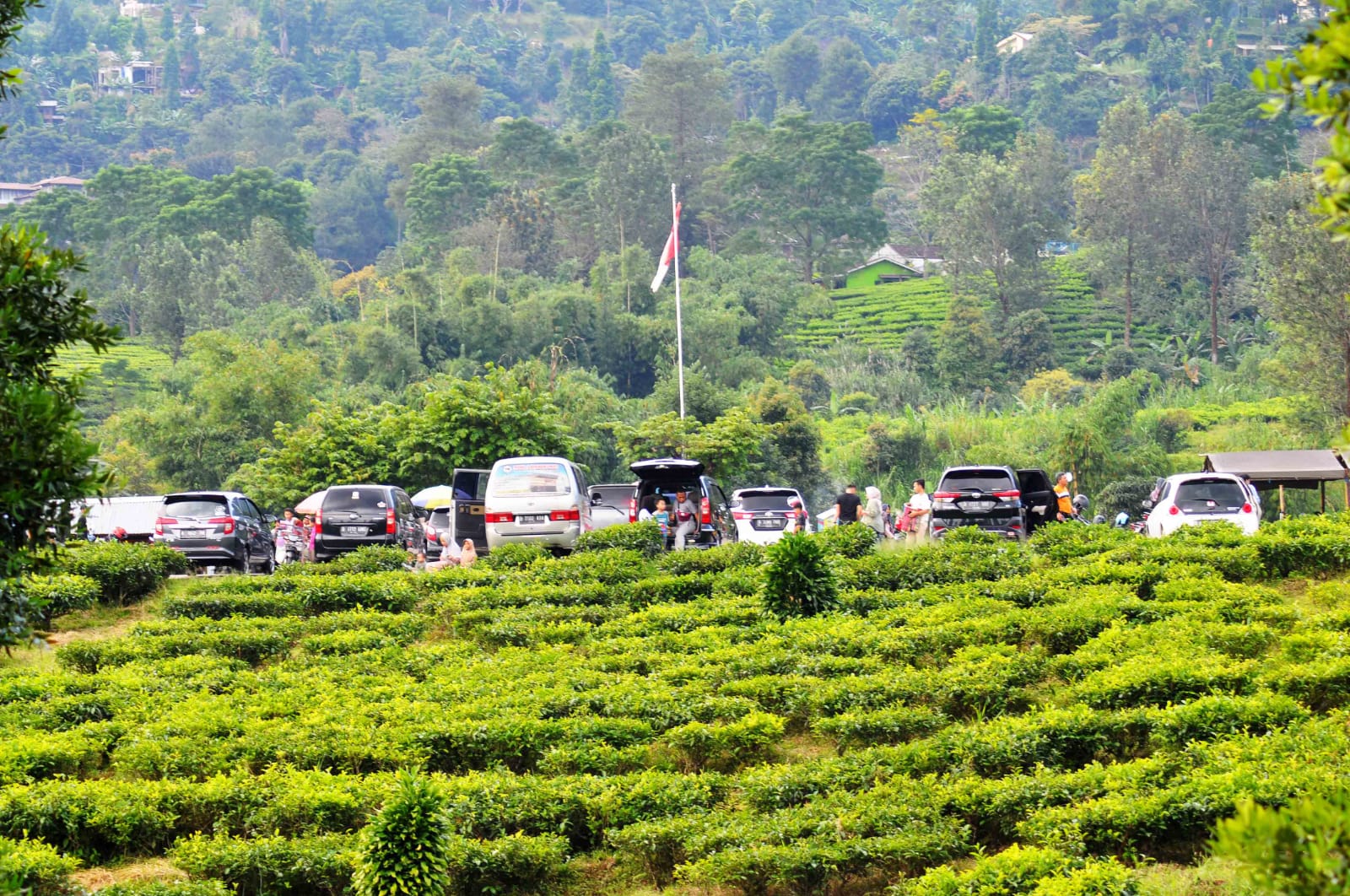 ejumlah wisatawan di area Kebun Teh, Puncak, Kecamatan Cisarua, Kabupaten Bogor, Jawa Barat.