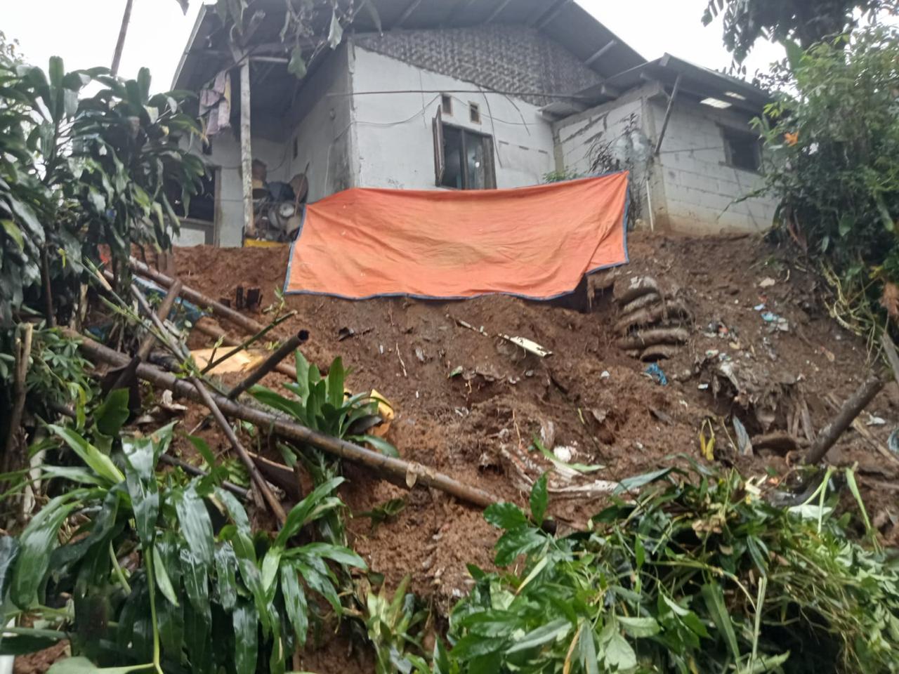 Tebing setinggi 7 meter di Kampung Caringin RT02/03 Desa Banjarsari, Kecamatan Ciawi yang longsor.