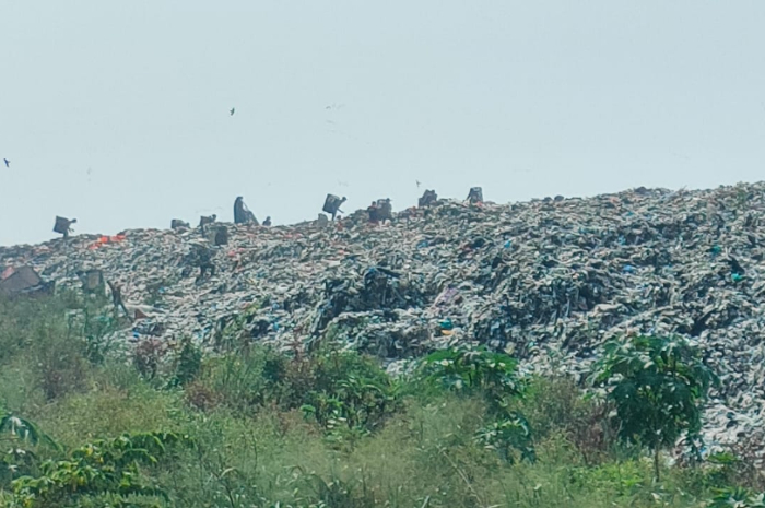 Pemulung sedang mengais rezeki di tumpukan sampah TPAS Galuga Senin (27/5/2024).