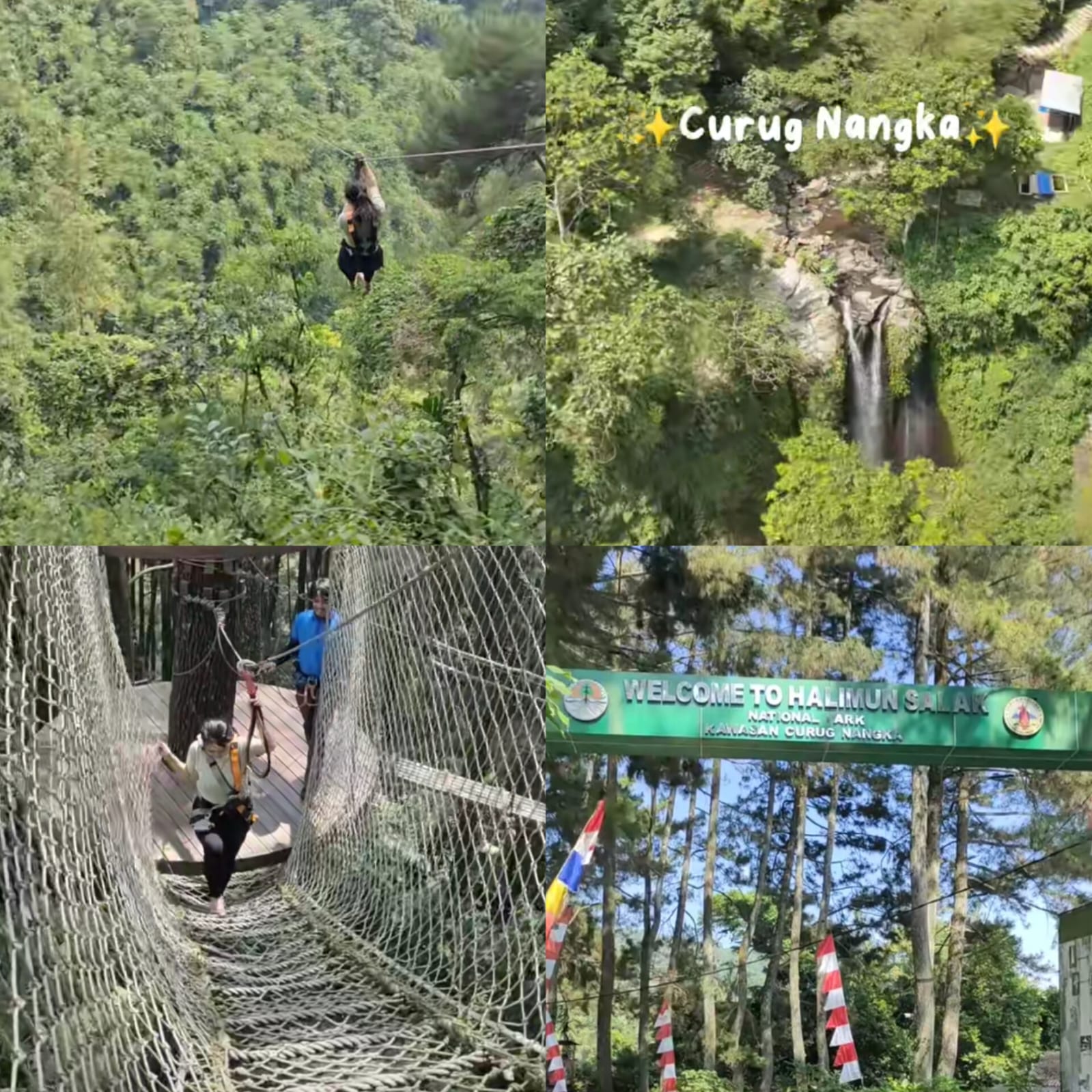 Tempat wisata di Bogor yang cocok buat healing dan teriak bebas.