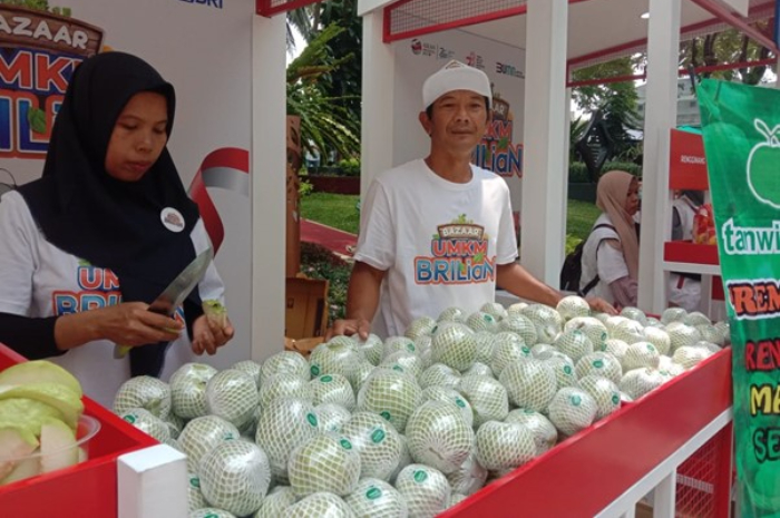 BRI membina klaster pertanian untuk produk usaha makanan atau buah-buahan, jambu kristal.